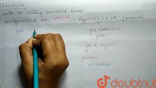 Write the missing correlated terms Undifferentiated cells     differentiated cells per [upl. by Ullman]