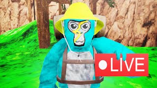 🔴LIVE🔴 Gorilla Tag Playing With Viewers🔴 Tag Minigames and more🔴 [upl. by Whitnell]