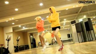 crazygirls psy dance youtube widescreen HD 169 [upl. by Annwahs]