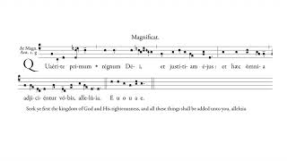 Magnificat Antiphon quotQuaerite primumquot for Vespers 14th Sunday after Pentecost [upl. by Stanzel]