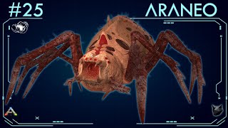 TODO SOBRE EL ARANEO 25  ARK Survival Evolved  Dossiers La Isla [upl. by Rodman]