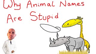 Why Animal Names Are Stupid [upl. by Budde]