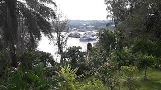 Megapode Anadaman View of Harbour [upl. by Posehn]