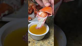 BIGGEST LOBSTER ROLL from Joe Fish in North Andover Massachusetts [upl. by Arvie]