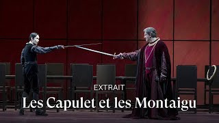 EXTRAIT I Capuleti e i Montecchi by Bellini Anna Goryachova [upl. by Willem]