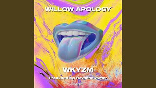 WILLOW APOLOGY [upl. by Corley511]