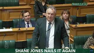 Shane Jones nails it again in respect to New Zealands energy [upl. by Tterrab]