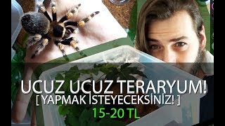 Ucuz mu ucuz Teraryum Tarantulaların Yeni Evleri [upl. by Nnyllaf244]