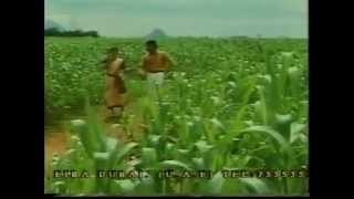 Aathangara Marame Kizhakku Seemayile Movie Song A R Rahman YouTube [upl. by Airod]