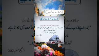 Banda Apne Rab ke Qareeb islamicquotes sajda namaz prayer dua urduquotes [upl. by Slater29]