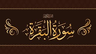 SurahAlBaqarah full surah fastrecitation  by Mishary Bin Rashid 🤲 [upl. by Irvin]