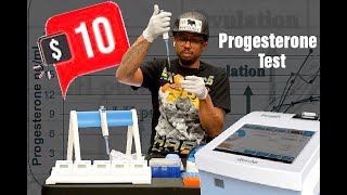 Wondfo FineCare Vet Progesterone Machine  How To Run At Home Progesterone Test For Dogs [upl. by Agn80]