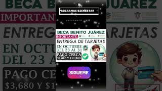 📌🪪Entrega de tarjetas del 23 al 31 de octubre de la Beca Benito Juárez 2024 [upl. by Ahsinrad525]