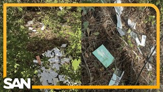 Florida postal worker arrested for dumping ballots election mail in woods [upl. by Eerhs]