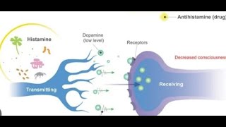 약국에서써본세번째약이야기박정완antihistamineallergy진정작용항콜린성액티피드콧물2세대 보나링주의력떨어짐유시락스piperazine가려움증항구토제 [upl. by Alioz694]