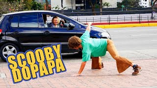 SCOOBY DOO PAPA 🕺🏽🐩SHAGGY PERREANDO POR LAS CALLES [upl. by Warner]