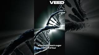 DNA structure DNA science youtubeshorts abubakarmedplus [upl. by Codi]