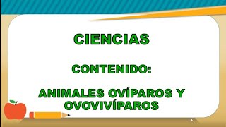 Animales ovíparos y ovovivíparos  Ciencias  Segundo grado [upl. by Dhiman950]