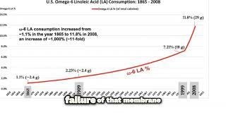 The Link Between Seed Oils and Insulin Resistance Omega6 Fats Mitochondrial Dysfunction Diabetes [upl. by Irtak]