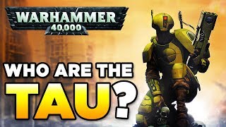 THE TAU  RACE OVERVIEW  Beginners Guide  WARHAMMER 40000 Lore  History [upl. by Anaiek]