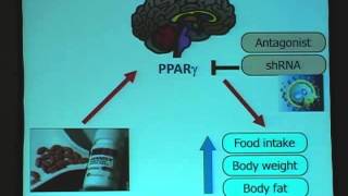 Dr Randy Seeley PPARy in Central Control of Feeding [upl. by Hanfurd]