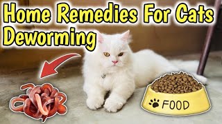 How to Deworm a cat with Home Remedies  Home Remedies for Deworming Cats  Cat Worms Treatment [upl. by Aicirt]