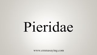 How To Say Pieridae [upl. by Everard868]