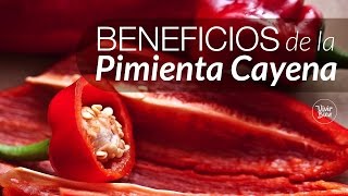 Propiedades de la Pimienta Cayena y Beneficios [upl. by Areem]