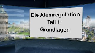 Wie funktioniert die Atemregulation Welche Rolle spielen CO2 O2 Muskeln Gefühle und Gedanken [upl. by Ibrad]