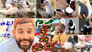 Wednesday Kabootar Mandi Layyah Part2  ColorFull Pigeons ForSale  Punjab Best Market For Shopping [upl. by Victorie275]