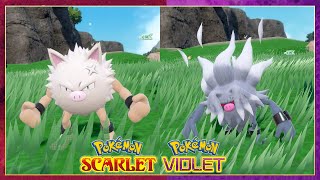 Pokemon Scarlet amp Violet How To Evolve Primeape into Annihilape [upl. by Annayram]