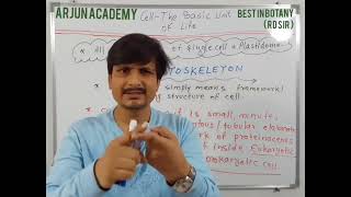 Introduction  Definition  Description of cytoskeleton [upl. by Ailemac]