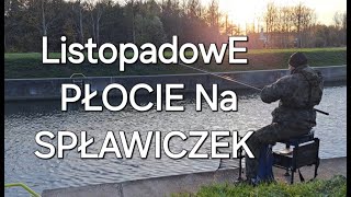 JESIENNE PŁOCIE  Spławikowa przepływanka [upl. by Ferren]