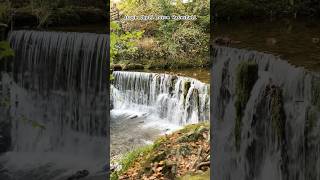 Part 1 Lake District Stock Ghyll Force Waterfall travelvlog trendingshorts waterfall [upl. by Lieberman]