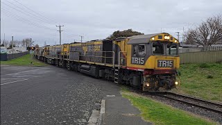 TasRail TR15 TR16 TR01 36 train crossing Water Street Ulverstone [upl. by Hailahk]