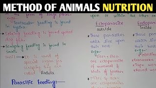 Method Of Animals Nutrition  Macrophagous Parasitic Filter And Fluid Feeder  Class 11 Biology [upl. by Newberry222]