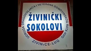 HVO 115 BRIGADA ZRINSKI  ŽIVINIČKI SOKOLOVI PJESMA [upl. by Irneh]