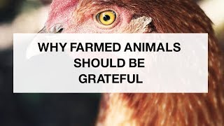 Why Farmed Animals Should be Grateful [upl. by Adnovay280]