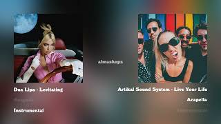 Dua Lipas Levitating sued for plagiarism by Artikal Sound System Thoughts Comparison Mashup [upl. by Beitch127]