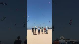 Hundreds gather for Grand Haven Kite Festival [upl. by Yelda]