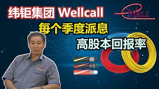 带你了解纬钜集团 Wellcall Holdings Bhd [upl. by Isoais566]