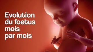 GROSSESSE  L’évolution du foetus mois par mois [upl. by Leonardo]