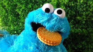 cookie monster eating cookies [upl. by Johnette]