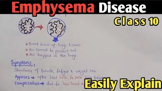 Emphysema  Cause Treatment and symptoms  Class 11 Biology [upl. by Teilo]