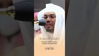 Powerful recitation  Surah Waqiah  Sheikh Yasser Al Dosari ياسرالدوسري recitation [upl. by Blakely]