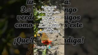 Soy feliz por 3 motivosFrases de Dios Frases para reflexionar frases [upl. by Ailemac]