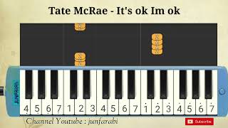 Tate McRae  Its ok Im ok  melodika tutorial [upl. by Nawd]