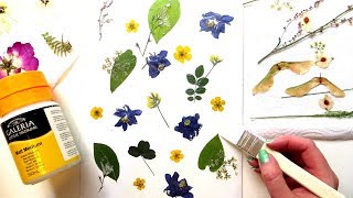 How to Make Pressed Flower Art  Pressing Flowers in a Book [upl. by Barrie]