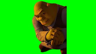 Shrek Rizz Stare HD GREEN SCREEN [upl. by Orelie]