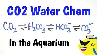 Aquarium CO2 Water Chemistry [upl. by Ainoloppa38]